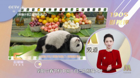 91色网址